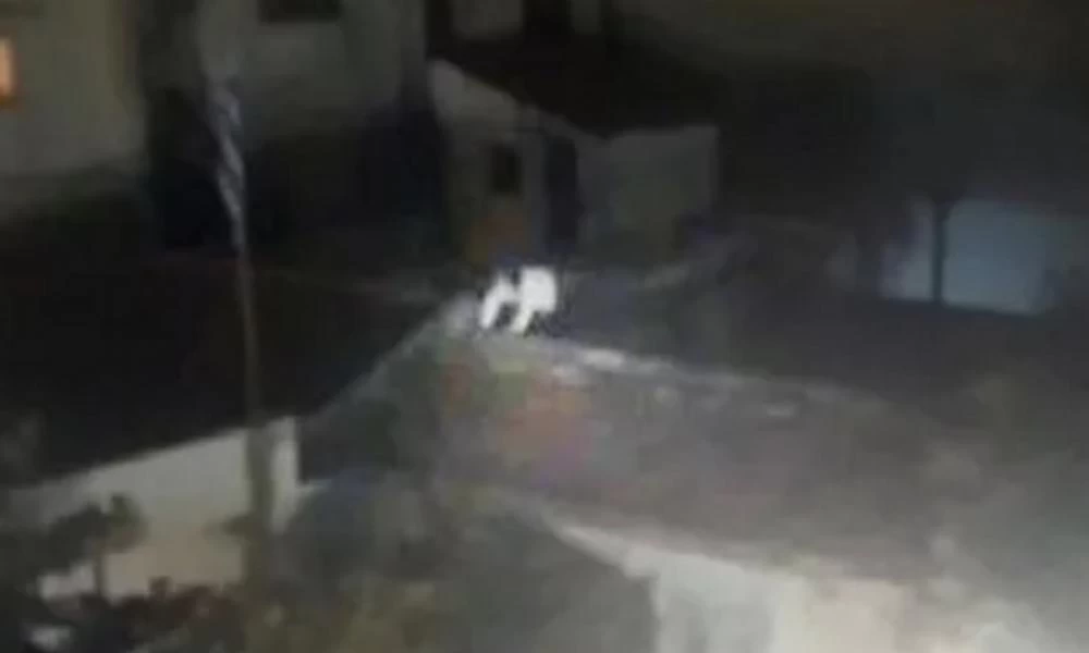Έλληνες σκαρφαλώνουν στα κεραμίδια για να γλιτώσουν το πρόστιμο